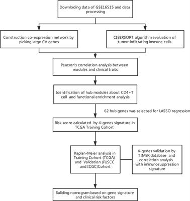 Analysis of Immune-Related Signatures Related to CD4+ T Cell Infiltration With Gene Co-Expression Network in Pancreatic Adenocarcinoma